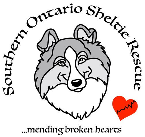 Charity logo